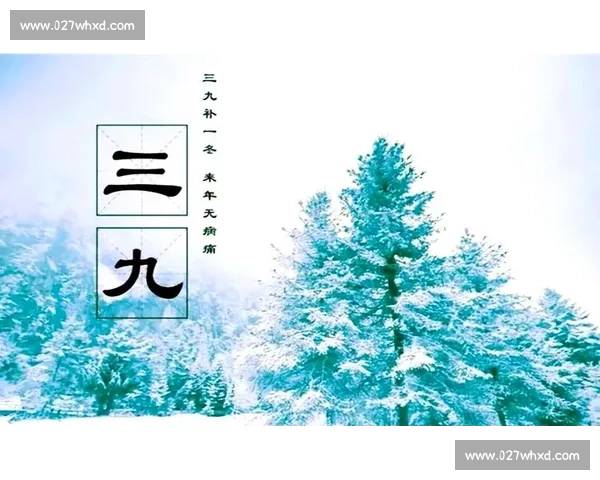 三九寒天养生指南与防寒小技巧全面解析