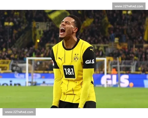 德甲积分榜最新：拜仁能否捍卫榜首，多特蒙德能否绝地反击