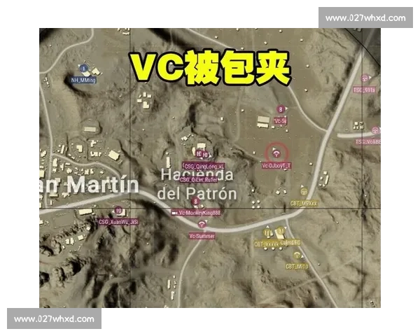 舆论焦点!英雄联盟手游联赛选手场外动态,引发粉丝热议!